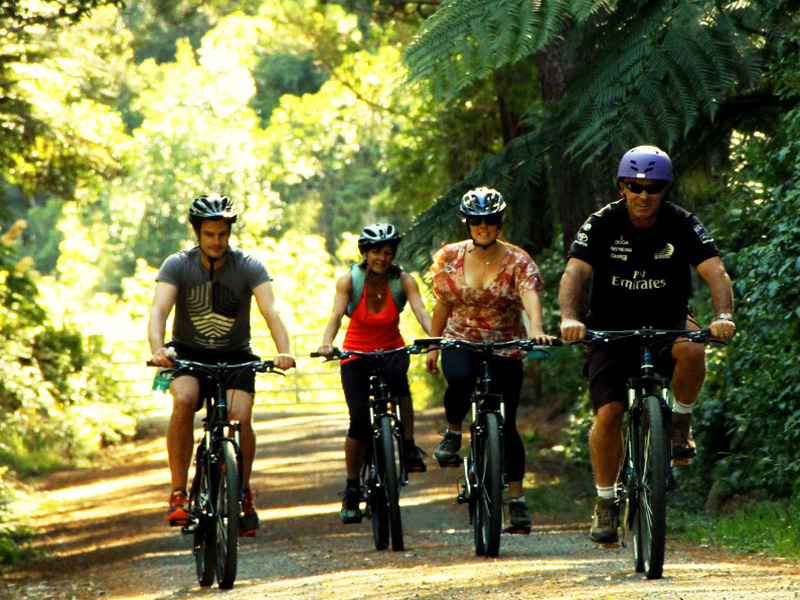 Comfort Mountain Bike Hire @ Cycle Remutaka